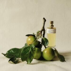 Ffern Autumn 25 - full set